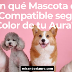 mascotas compatibles segun el color del aura